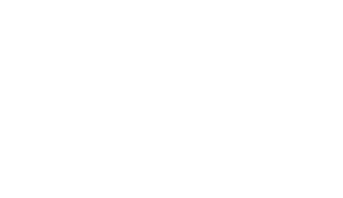 Disney Adventure World